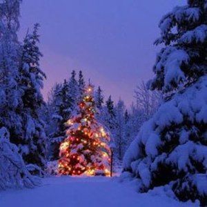 Meet your Posher, Chuck